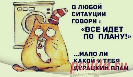 красивые картинки для позитивного настроя: 32 тыс изображений найдено в Яндекс.Картинках