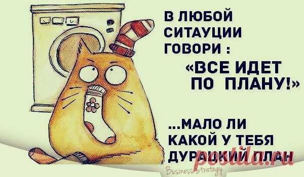 красивые картинки для позитивного настроя: 32 тыс изображений найдено в Яндекс.Картинках