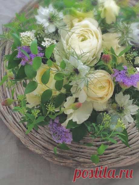 ЧУДЕСНОГО НАСТРОЕНИЯ