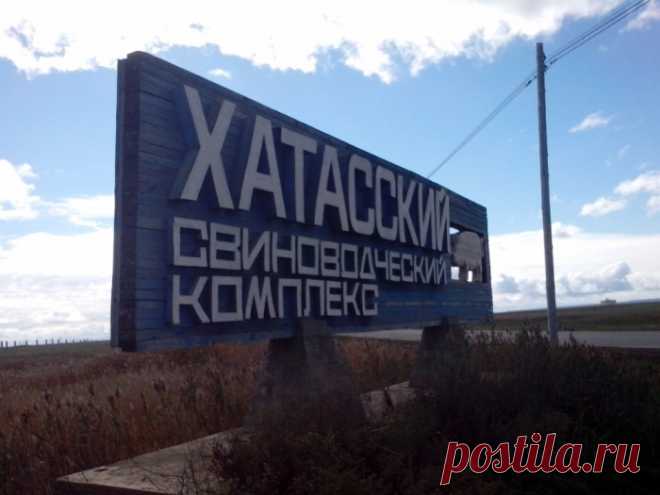 Данная вывеска как раз установлена перед хатасским свинокомплексом. А дело было так в то время я работал страховым агентом. В нпф Алмазная осень в городе якутске. #отзыв #производство #якутск