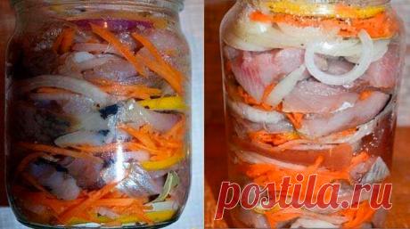 Селёдка по-голландски