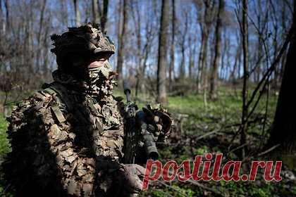 Российские войска взяли в клещи подразделения ВСУ в Серебрянском лесничестве