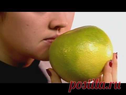 Памела (помело) фрукт: как растет, польза и вред, калорийность, фото, видео