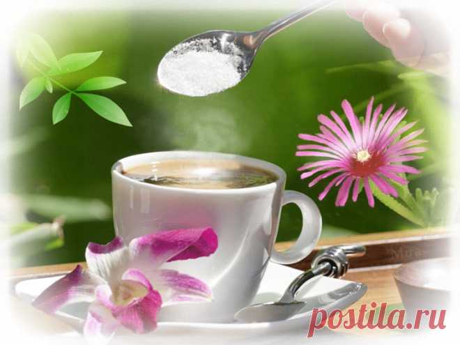 «Доброго, нежного, сладкого утречка! Настроения замечательного!» http://www.playcast.ru/view/10855837/81a04562de2a8a877913718c0a95e4cf8d650d82p