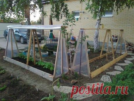 Одноклассники