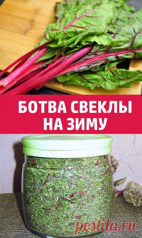 БОТВА СВЕКЛЫ НА ЗИМУ