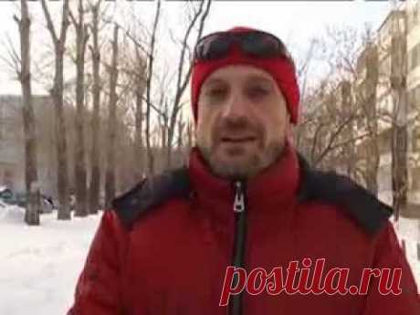 Антуан Наджарян среди собак — Яндекс.Видео