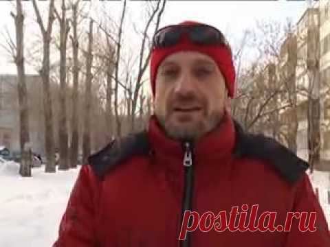 Антуан Наджарян среди собак — Яндекс.Видео