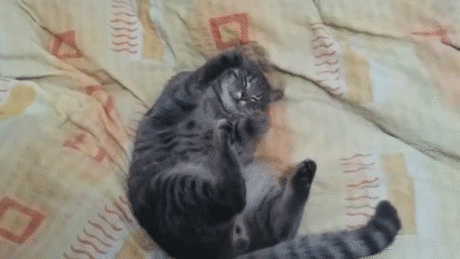;D
