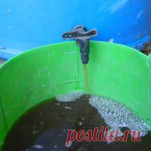 Подкормка огурцов народными средствами – 5 "работающих" рецептов