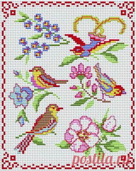 Gallery.ru / 507 - 5 - Olsha