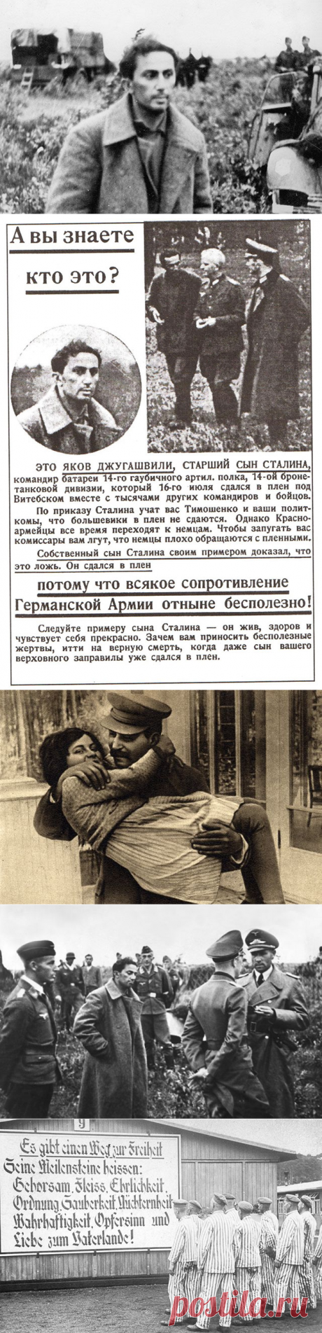 Высокое напряжение. Как погиб сын Сталина Яков Джугашвили | История | Общество | Аргументы и Факты