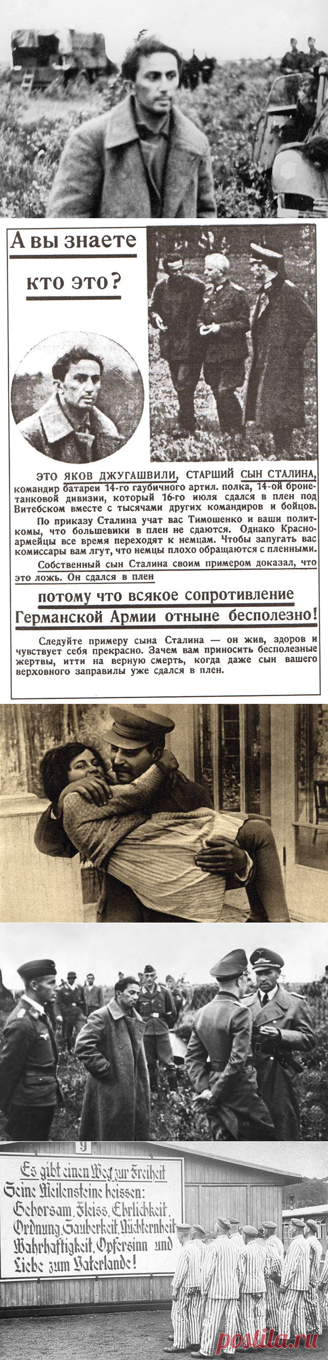 Высокое напряжение. Как погиб сын Сталина Яков Джугашвили | История | Общество | Аргументы и Факты
