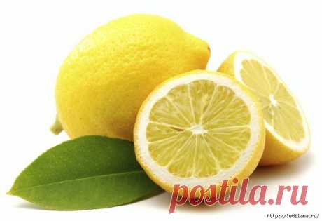 Здоровье | Записи в рубрике Здоровье | Дневник LediLana " О самом интересном и познавательном"