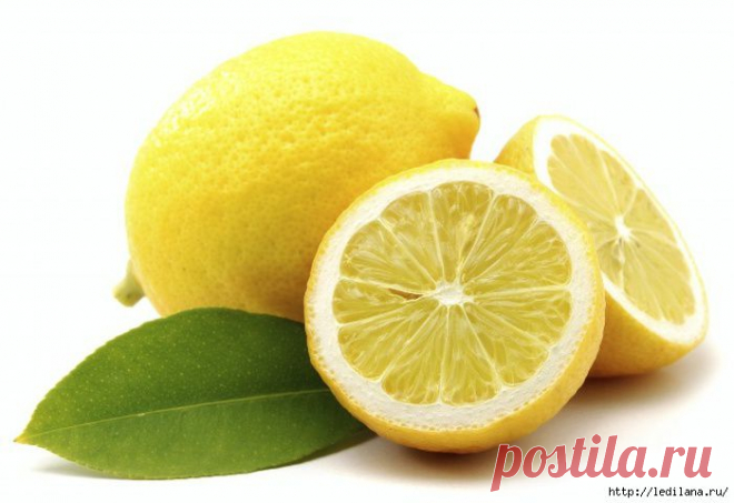 Здоровье | Записи в рубрике Здоровье | Дневник LediLana " О самом интересном и познавательном"