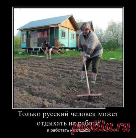 Демотиваторы 14/10 | Смех без границ