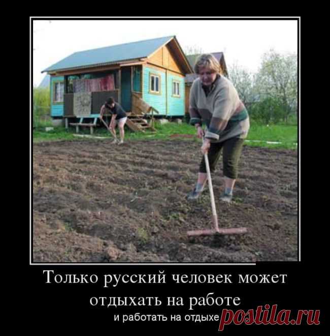 Демотиваторы 14/10 | Смех без границ