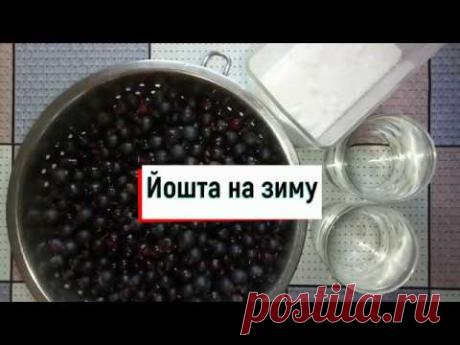 Желе из йошты на зиму