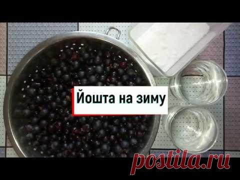 Желе из йошты на зиму
