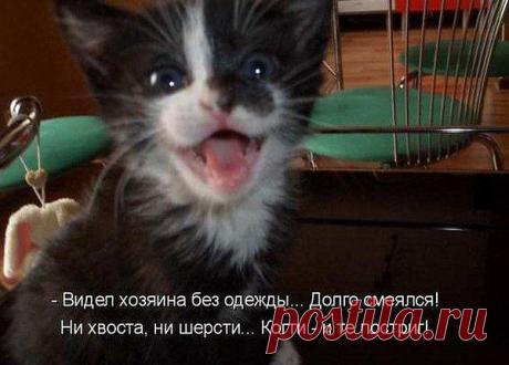 Интересные новости
