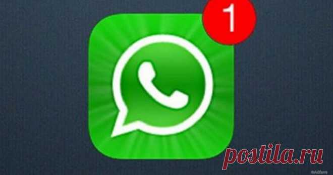 Новый вирус, опасный для всех пользователей WhatsApp. Вот что нельзя делать ни в коем случае! - БуратинсБургер