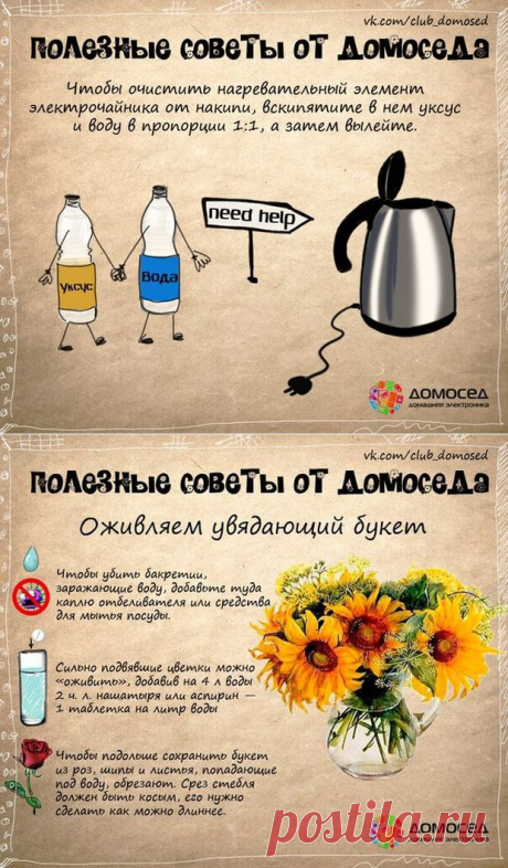 Развлечения каждый день - Полезные советы...
