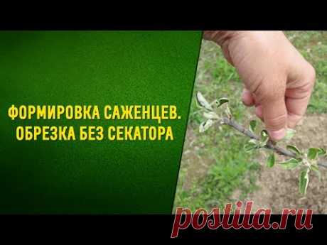 ЦВЕТОВОДСТВО,САДОВОДСТВО И ЛАНДШАФТНЫЙ ДИЗАЙН ДЛ