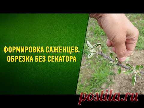 ЦВЕТОВОДСТВО,САДОВОДСТВО И ЛАНДШАФТНЫЙ ДИЗАЙН ДЛ