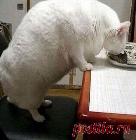 БЫЛ СНЕЖОК, СТАЛ СУГРОБ