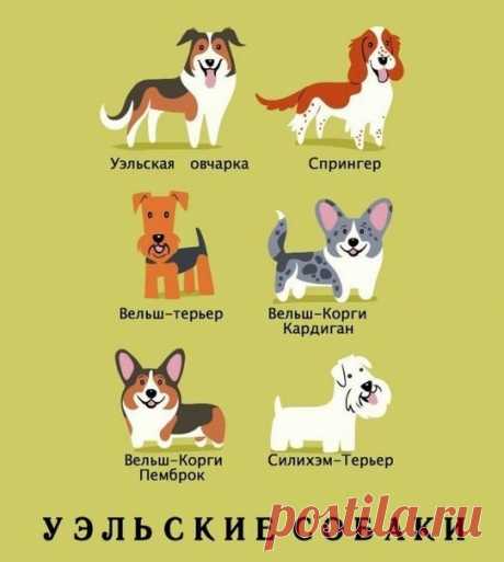 Редактировать описание