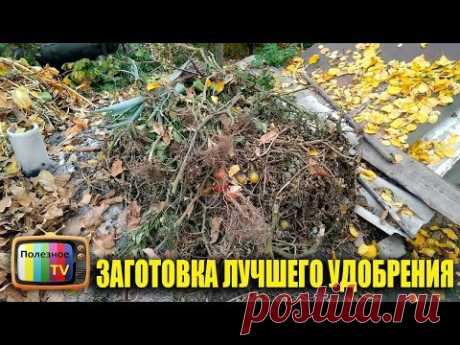 ОСЕНЬ ПРИШЛО ВРЕМЯ ЗАГОТОВКИ САМОГО ЛУЧШЕГО ОРГАНИЧЕСКОГО УДОБРЕНИЯ