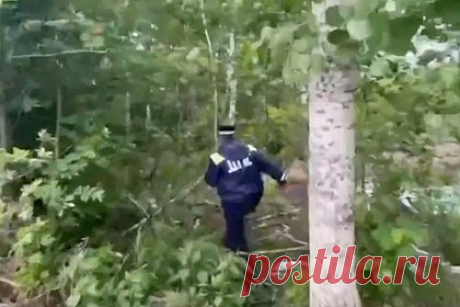 Российские полицейские вытащили увязших в болоте детей. В Ханты-Мансийском автономном округе полицейские вытащили из болота двоих увязших в нем мальчиков. В дежурную часть в Пыть-Яхе позвонил восьмилетний мальчик и рассказал, что около дачных кооперативов тонут его друзья. Сотрудники дорожно-патрульной службы за считаные минуты прибыли к лесу.
