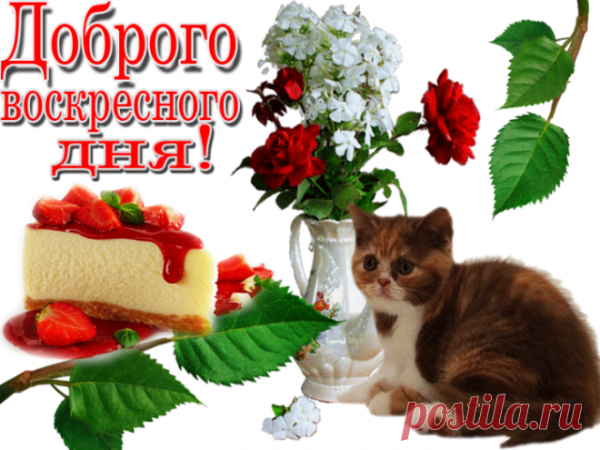 Картинки пожелания «Хорошего воскресного дня!» (12 фото) ⭐ Забавник