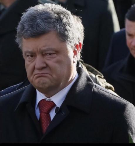 Два фото, сделавшие мой день - Кальмиус-инфо « Кальмиус-инфо