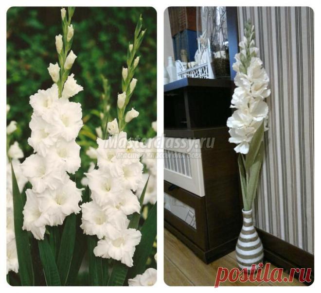 Мастер-класс. Гладиолусы из гофрированной бумаги