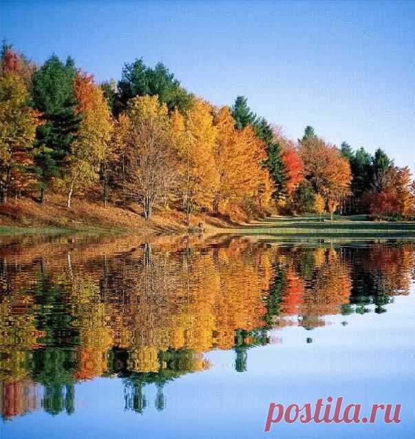 "Осень - это все цвета светофора в одном парке... Жизнь рвётся вперёд, когда парк весенне-зелёный и притормаживает, когда все цвета горят одновременно..."