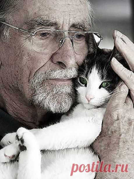 (74) Одноклассники