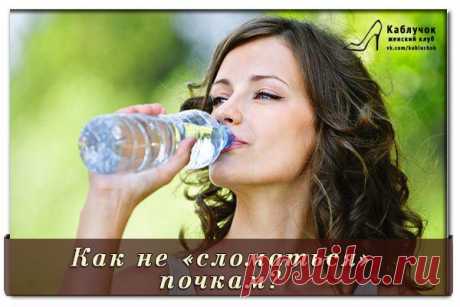 Как не «сломаться» почкам? .