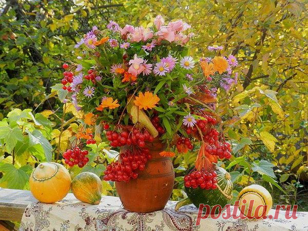 "ФотоПОЗИТИВ"
Сибирячка www