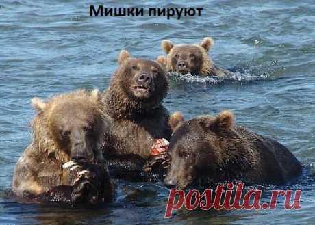 удачный улов...
