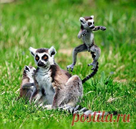 Мой Мир@Mail.Ru