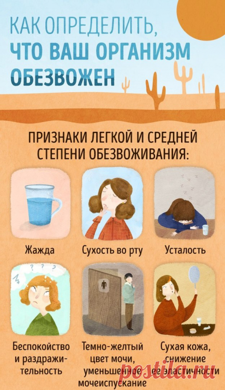 Почему? Повышаем IQ