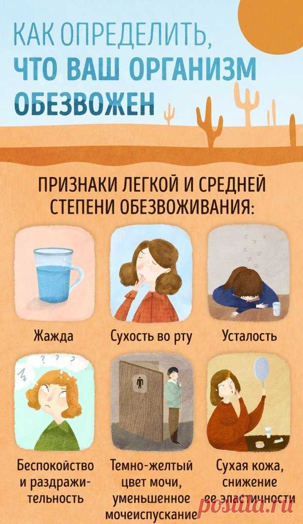 Почему? Повышаем IQ
