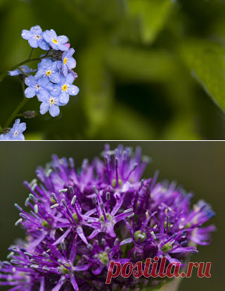 Фотопутешествия: Весна . Цветение