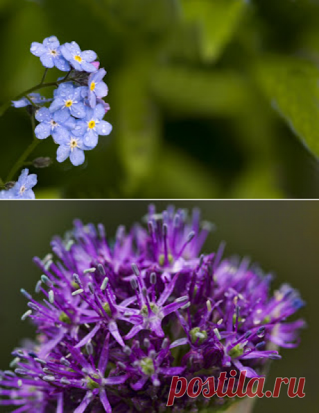 Фотопутешествия: Весна . Цветение