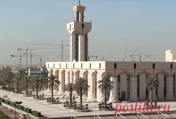 Он убивает родных, тратит миллиарды и скоро станет королем: Политика: Мир: Lenta.ru