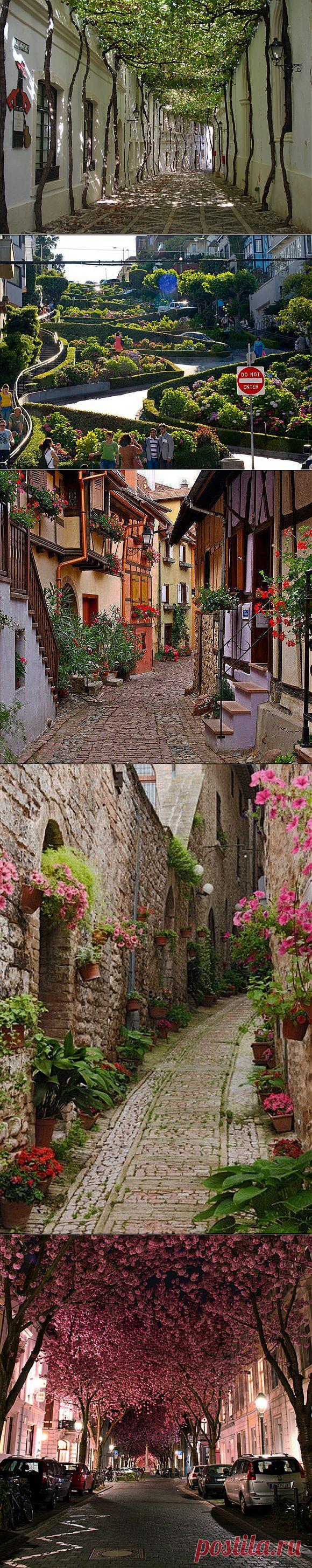 Уютные городские улицы со всего мира | ПолонСил.ру - социальная сеть здоровья