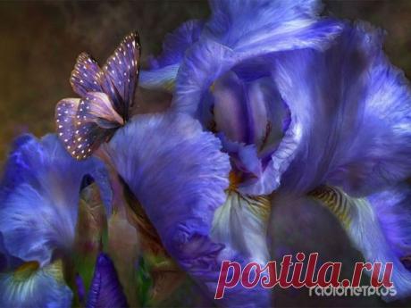 Цветочный гороскоп