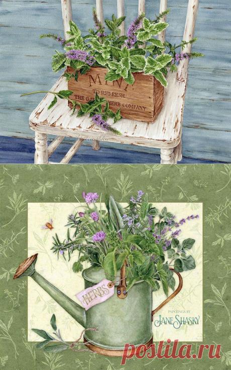 Без заголовка