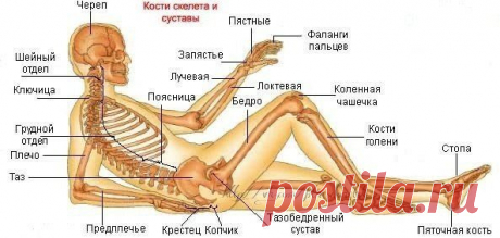 Новости